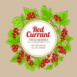 red currant frame