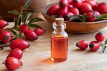 A Bottle Of Rosehip Seed Oil With Fresh Rosehips