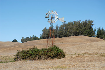 Wall Mural - Windmill