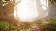 path through magical forest at sunrise, beautiful old trees fantasy landscape