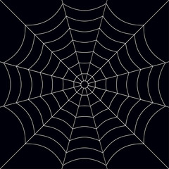 Poster - Halloween, spider web background - for stock