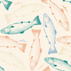 Wall Mural - Salmon,seamless pattern sketch vector.