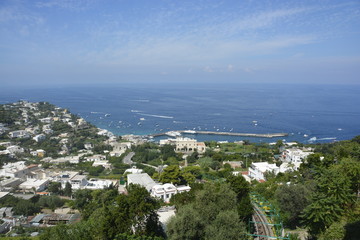 Wall Mural - Capri