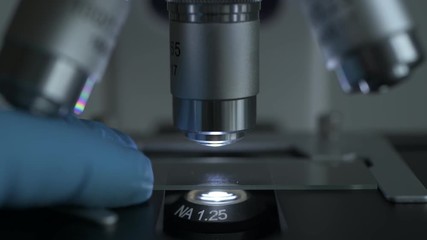 Wall Mural - close-up shot of sample slide and microscope with metal lens at laboratory.