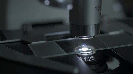 Wall Mural - close-up shot of sample slide and microscope with metal lens at laboratory.