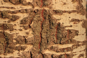 Wall Mural - wall, texture, brick, stone, old, architecture, pattern, brown, rough, abstract, building, surface, rock, textured, backgrounds, grunge, aged, ancient, construction, material