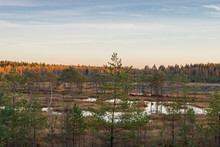Galkinskiy Swamp.Ugra National Park. Reserve. Kaluga Region. Russia