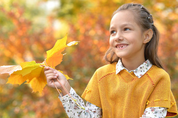 Sticker - Portrait of a cute little girl smiling in autumnal park