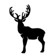 © majivecka - Vector silhouette of deer on white background.