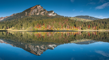 Poster - autumn color mountain landscape and lake in the Swiss Alps