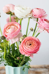 Wall Mural - Pink ranunculus flowers.