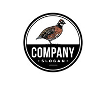 Hand Drawn Animal Vector Bobwhite Bird Sign Symbol Company Vintage Logo Circle Template Design Inspiration