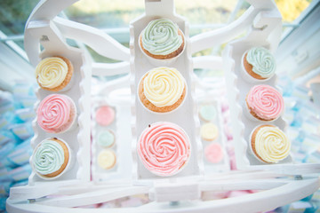 pastel cupcake carousel party