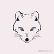 Arctic fox vector illustration