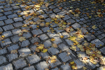 City. old cobbled surface of the road.