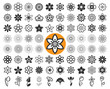 Set of flower icons and floral guilloche. Floriculture symbols. Vector illustration.