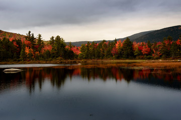 Lily pond on Kancamagus highway during fall foliage season