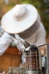 Poster - Imker beim kontrollieren der Bienen im Herbst