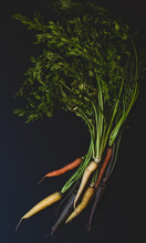 Carrots With Greens