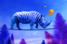 Blue Rhino Walking On Rope