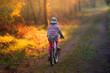 dziewczynka na rowerze w lesie. Piękna polska jesień