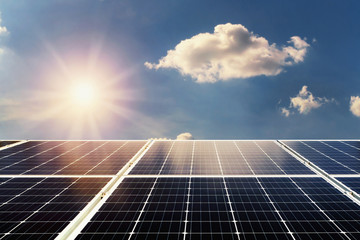 Wall Mural - concept clean power energy. solar panel and sunlight with blue sky background