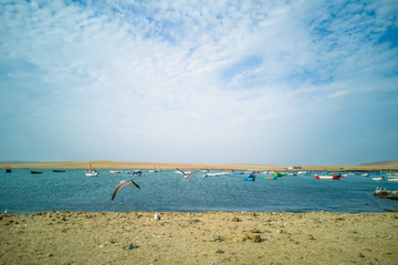 Fishing boats and gulls on beach