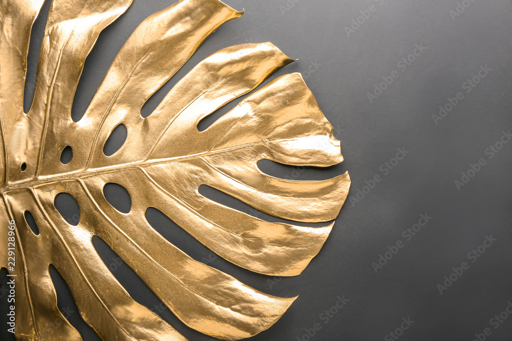 Golden monstera leaf on black background