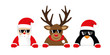cute reindeer santa claus and penguin cartoon with sunglasses for christmas