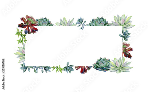 Watercolor hand painted banner with green succulents. Echeveria illustration,...