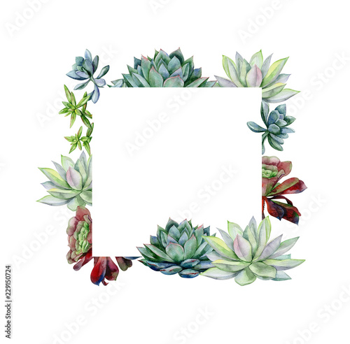 Watercolor hand painted banner with green succulents. Echeveria illustration,...