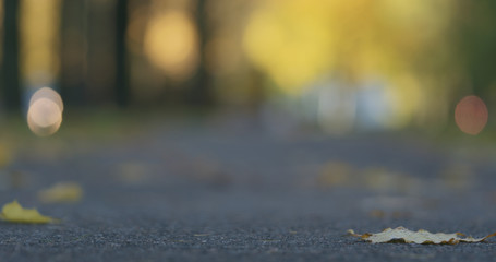 Wall Mural - Low angle shot of fallen autumn leaves on sidewalk in the morning with moving cars on background