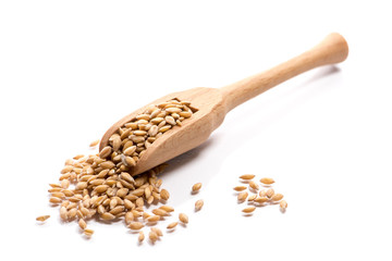 Close-up of pile of Spelt grains in a wooden spoon on white background