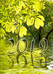 Wall Mural - 2019, Green leaves and water reflections greeting card