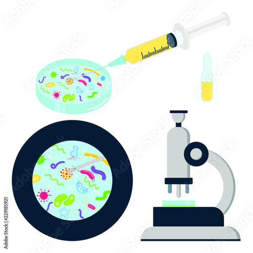 Laporatory Analisys Equipment Set Microscope Petri Dish Syringe And Zoomed View Bacterias Germs Viruses And Microorganisms Flat Style Cartoon Design Vector Illustration Isolated Buy This Stock Vector And Explore Similar Vectors