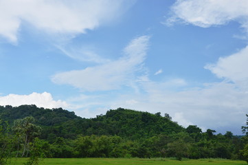 landscape of mountain and paddy field on sunny day