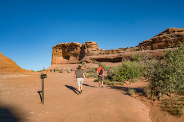 Wall Mural - Delicate Arch in Arches National Park Utah, USA