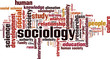 © laufer - Sociology word cloud