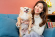 © whyframeshot - beautiful attractive woman playing with lovely chihuahua brown hair dog with on sofa home background
