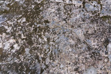 Fototapeta Do akwarium - Surface of natural stone, background, texture