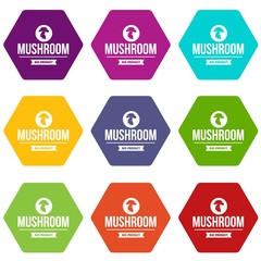 Canvas Print - Mushroom bio product icons 9 set coloful isolated on white for web