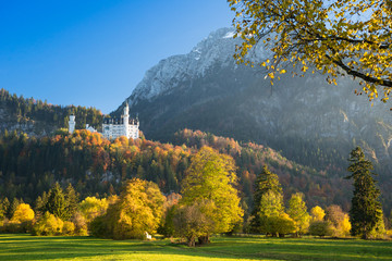 Neuschwanstein im Herbst