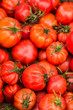Pomidory Tomatoes Culinary Food Vegetables