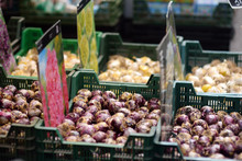 The Famous Amsterdam Flower Market (Bloemenmarkt). Bulbs Of Hyacinths