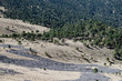 © Alice Nerr/Stocksy - Aerial view to pine forest and colorful soil