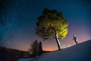 Wall Mural - Skiier stands in the forest near the big pine tree during starry night