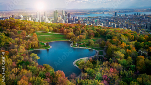 Fotomural Montreal autumn season coulors