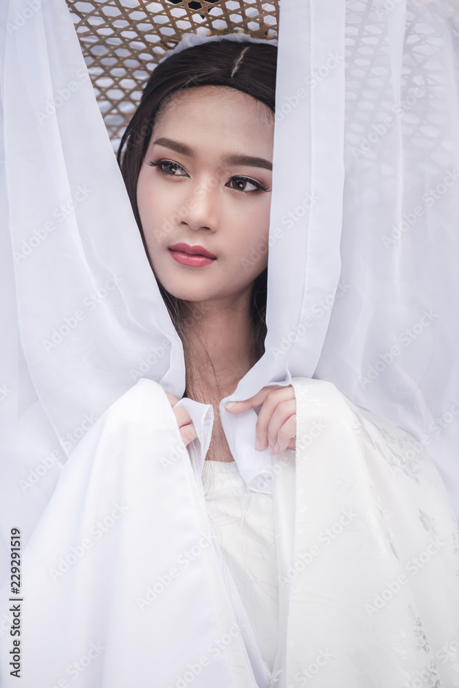 sheer white dress Midi Silk Organza Sheer Dress main image 1
