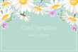 Wedding event invitation card template. Daisy chamomile wild field autumn summer spring flowers border frame. Floral design template blue frame text placeholder. Horizonatal landscape aspect ratio.