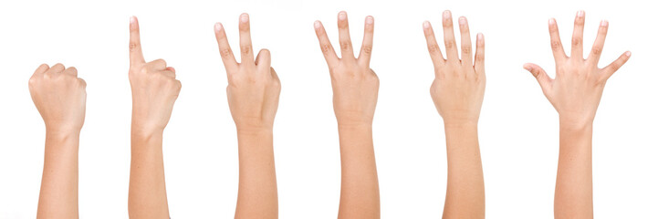 Kid Hand Isolated on White Background  : Hand Counts from Zero to Five.